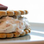 Sweet Layers: The Delightful World of Graham Cracker Sandwiches