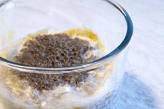 Delicious Gluten-Free & Vegan Chia Pudding Recipes to Try